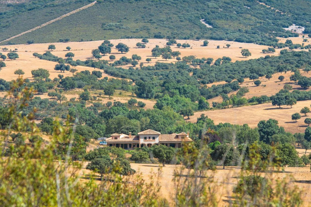 Finca El Piruetano Tolède Extérieur photo